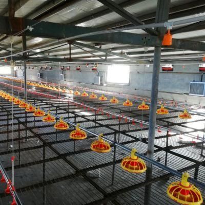 Control Shed Automatic Chicken Broiler Poultry Equipment Suppliers in South Africa