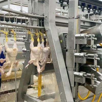 3000bph Halal Slaughter Line Chicken Duck Processing Machine for Poultry Slaughterhouse Line