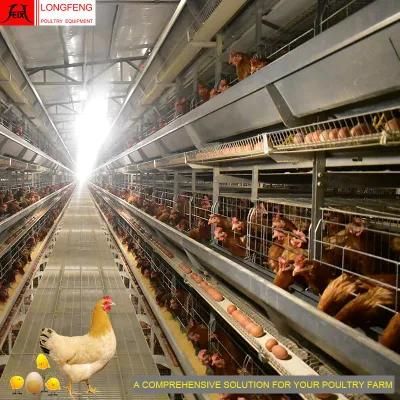 Chicken Automatic Cage Longfeng China Livestock Machinery Poultry Farming Equipment