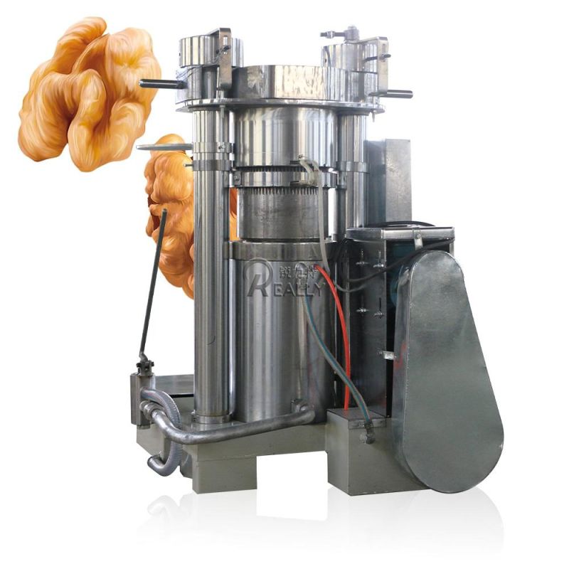 Commercial Oil Press Machine Nuts Oil Extractor Machine Hydraulic Cold Oil Extractor Sunflower Seeds Coconut Oil Extraction Equipment