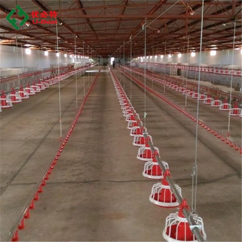 Best Price Farm Equipment Plastic Slat Floor Poultry