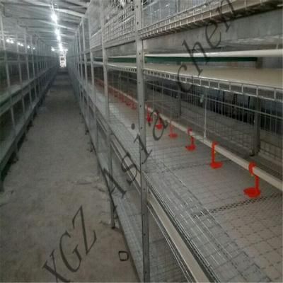 Asia Chen Design Sell Well Broiler Cage