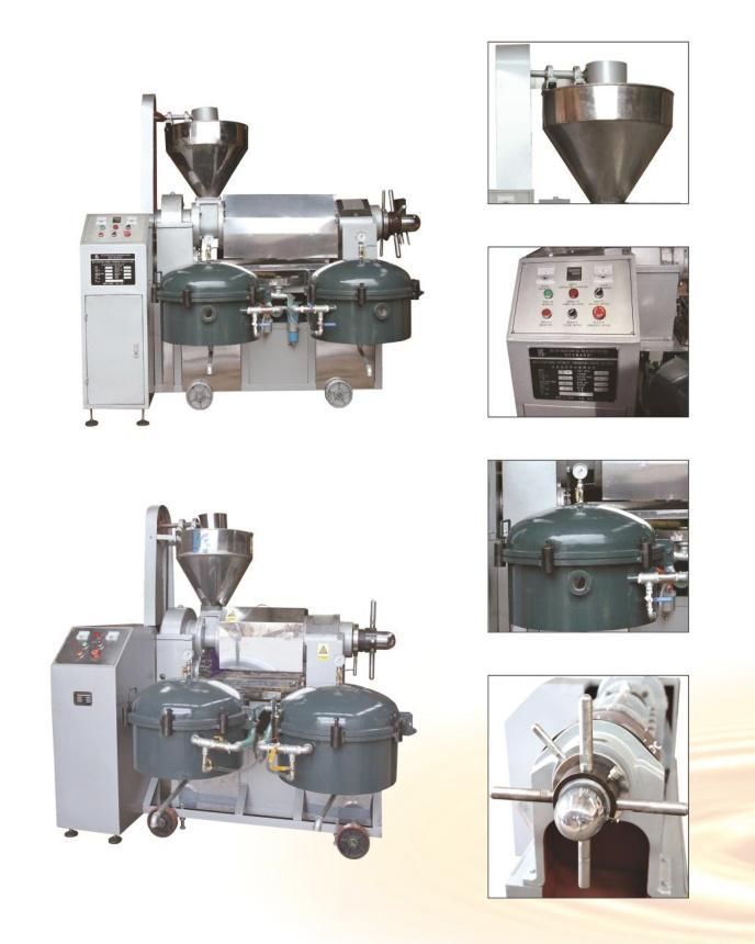 High Quality and Customized Capacity Screw Oil Extractor Machine for Oil Seeds