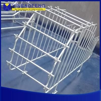 Made-in-China Piggery Farm Equipment Pen Gestation Farrowing Stall for Sale