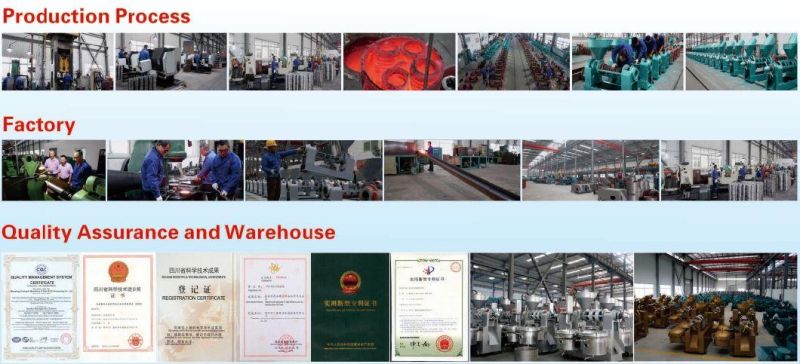 2019 Top Sales Sunflower Oil Press with Good After-Sale Services