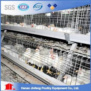 H Type Chicken Cage System Poultry Equipmrnt