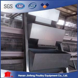 2018 New Product New Production 10000 Layer Chickens Farm Bird Broiler Cage System for Sale
