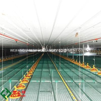 U-Best Type Automatic Broiler Feed System for Poultry Chicken Broiler Farm