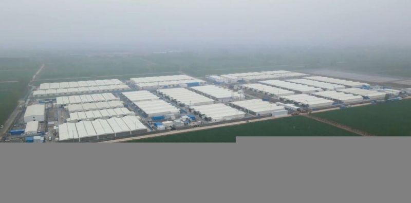 Livestock Pig Farm Equipment Galvanized Steel Sheet Silo for Sale