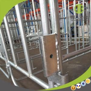 Pig Farm Gestation Stall Type Hot-DIP Galvanized Gestation Stall