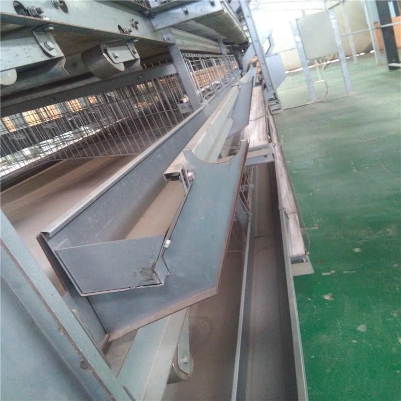 Automatic Chicken Poultry Farm Equipment Use in Chicken House