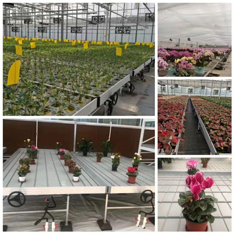 Double Stack Plant Benches Rolling Tables Ebb and Flow Trays