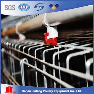Poultry Equipment Chicken Cage Bird Cage Agricultural Equipment Fowl/Quail Cage for Sale