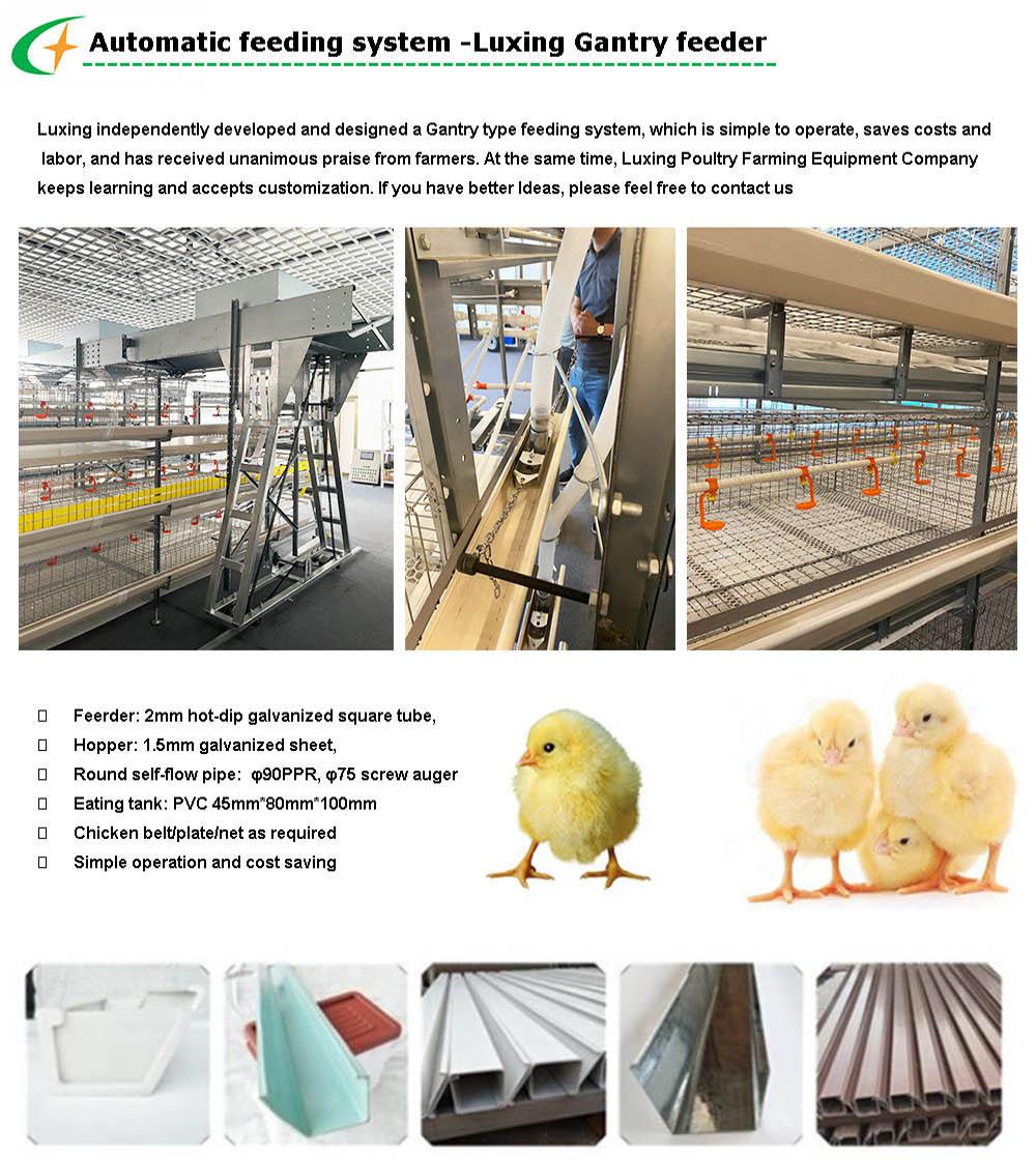 High Quality Broiler Farming Equipment Day Old Chicks Broiler Cage for Sale