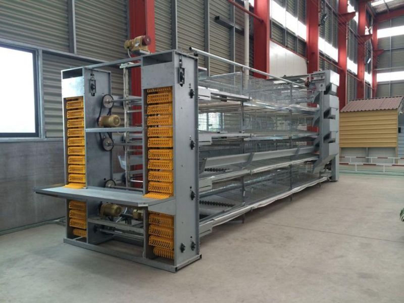 Galvanized Cage Chicken Automatic Equipment with Ce