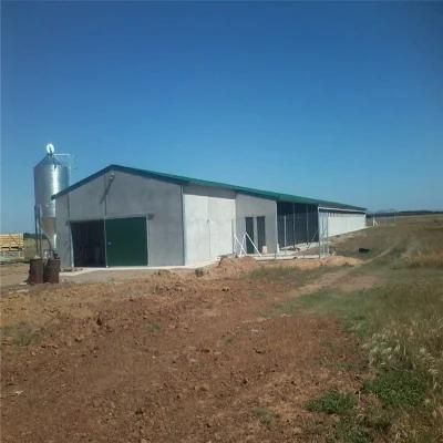 Quickly Assemble Hot Sale Simple Management Steel Poultry Chicken Shed