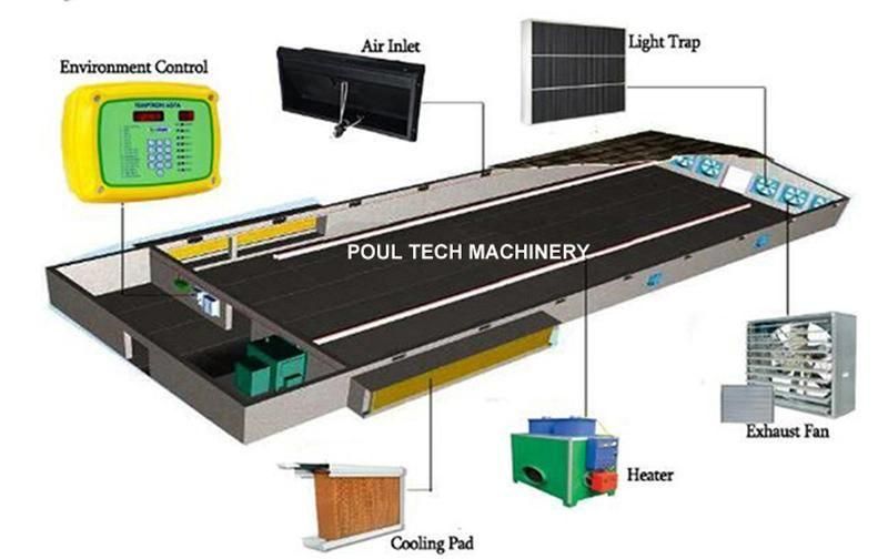 Chicken Pen System Automatic Floor Raising Equipment