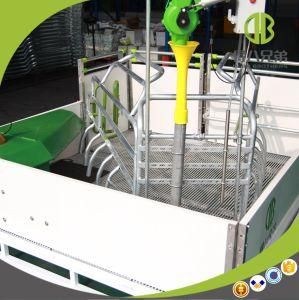 Hot DIP Galvanized Open Farrowing Crate Use for Pig Farm
