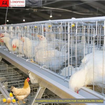 3 Tiers, 4 a Type Poultry Farm Equipment Battery Chicken Cage