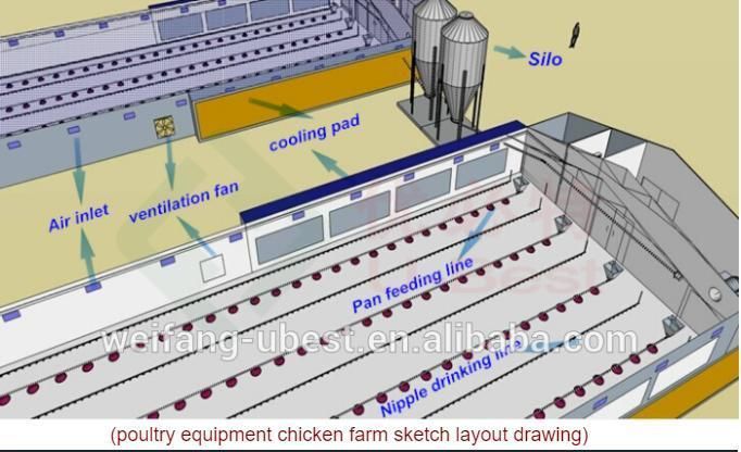 Automatic Feeding Line System Pan Feeder Nipple Drinker Poultry Farming Equipment for Broiler Chicken Products