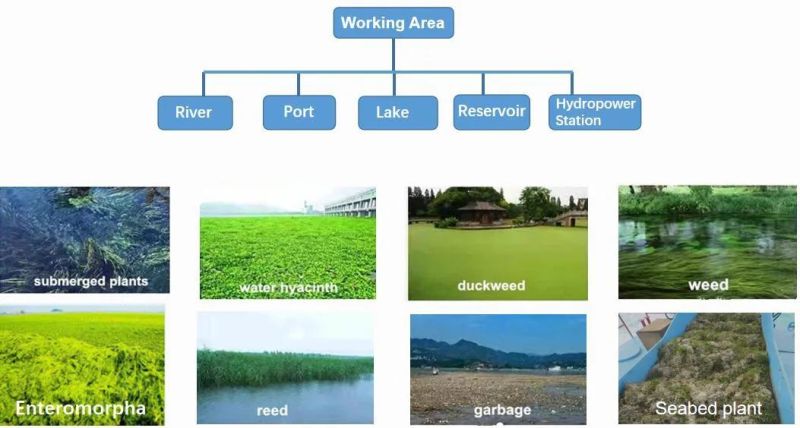 Amphibious Dredging Machine Equipment with Harvesting Weeds