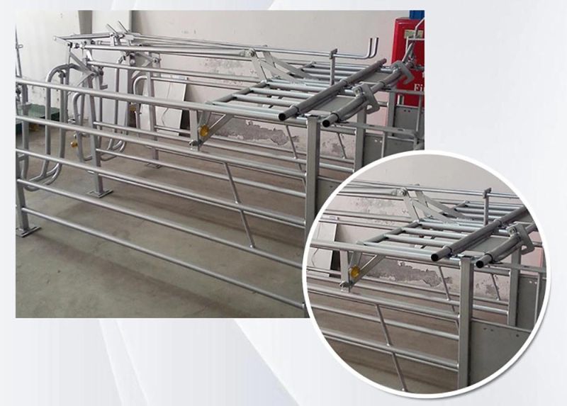 Factory Pig Breeding Equipment Weaning Stall Location Bar for Pregnant Sow Gestation Stall Hog Farrowing Crate