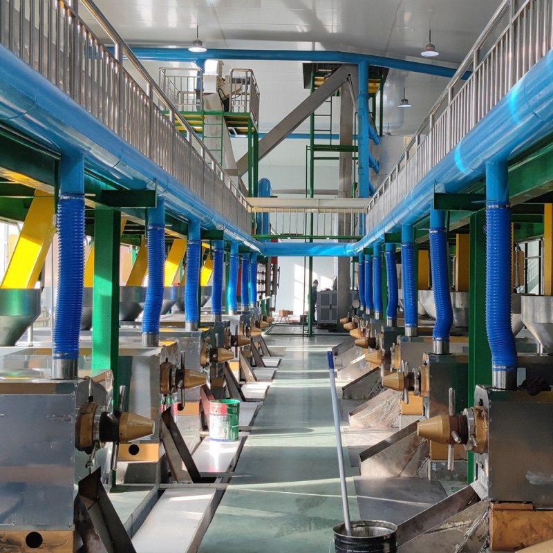 Professional Soybean Oil Extraction Plant