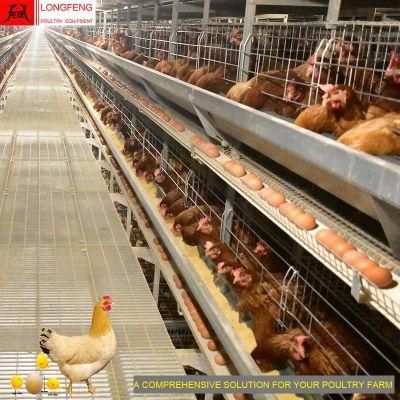 Longfeng Mature Design Poultry Farm Equipment for Layer Chicken Cage