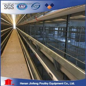 Jinfeng H Type Best Price Poultry Farm Egg Layer Chicken Cages