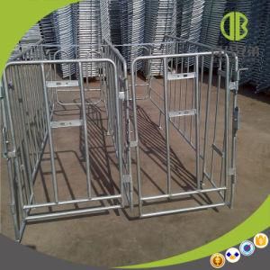 Pig Farm Equipment Gestation Stall for Sale