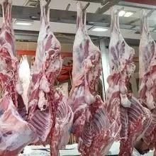 Islamic Cattle Goat Slaugterhouse Machine for Butcher Abattoir