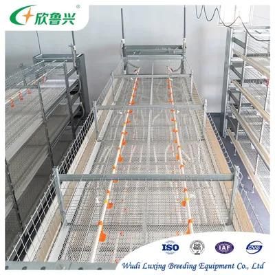 Automatic Poultry Farm Equipment Cage for Layer Broiler Pullet Chicken