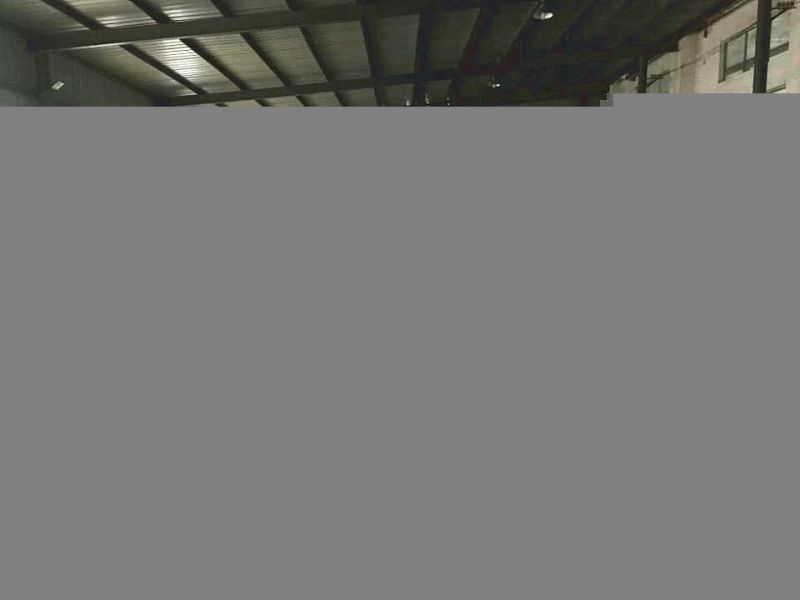Pto Branch Logger for Sale Tractor Mounted Tbc110 Firewood Chopper