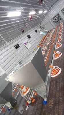 2017 Auto Feeding System of The Chicken House and Chicken Farm