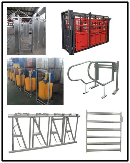 Powder Coated Livestock Cattle Squeeze Chute Cattle Crush