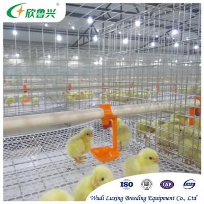 China Factory 3 Tiers H Type Animal Feeder Chicken Farm Broiler Poultry Cages for Sale