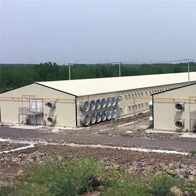 Stainless Steel High Output Comfortable Quality Broilers Feeding Machine