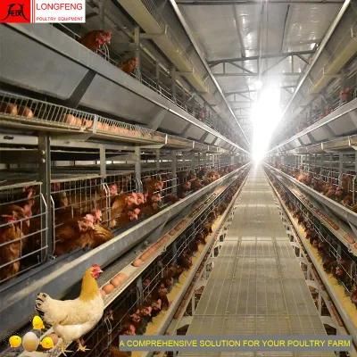Automatic Chicken Farming Local After-Sale Service in Asia Feeding Equipment Poultry Cage