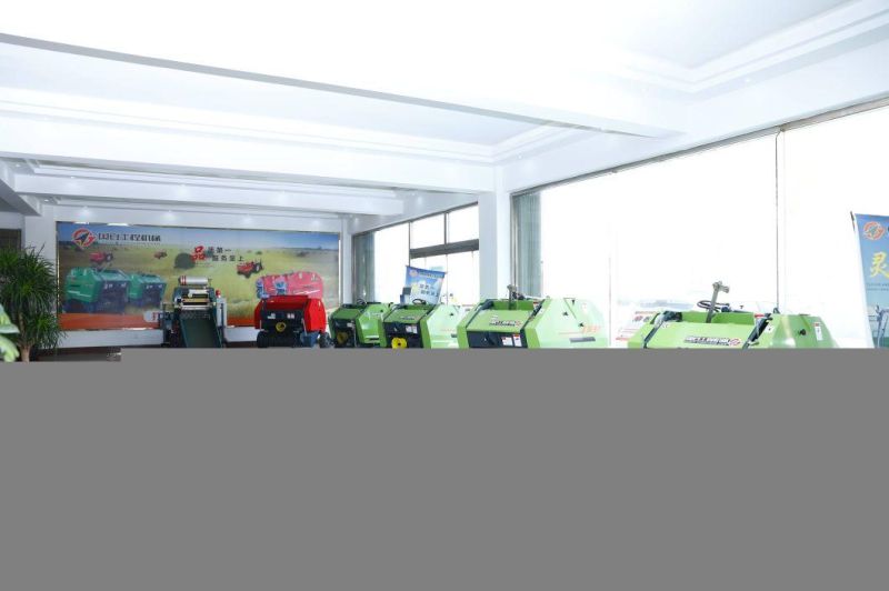 Made in China CE Assured Mini Round Hay Silage Baler