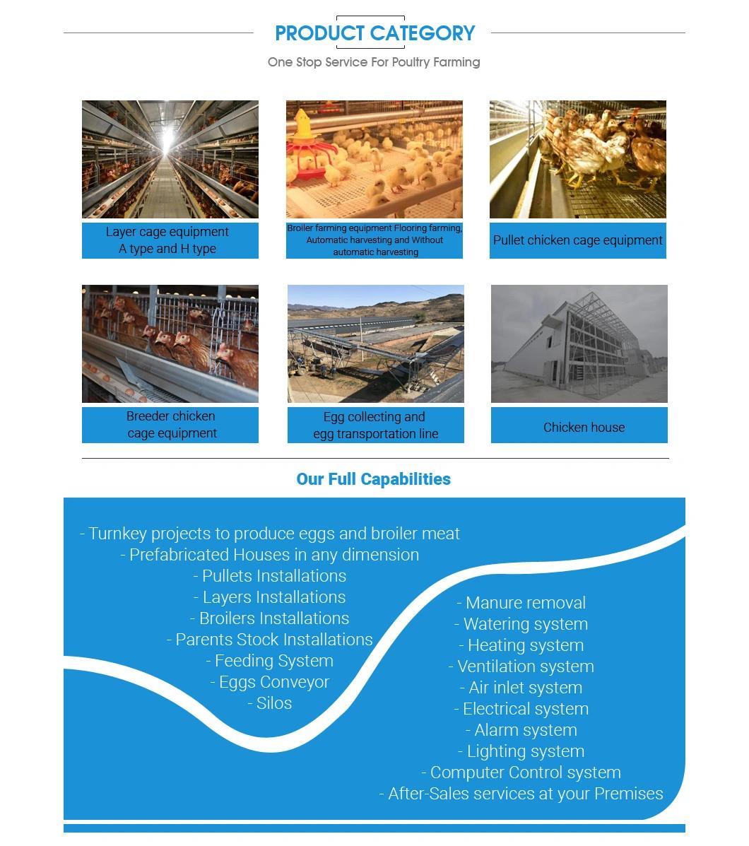 Dosing Medicine and Spray Disinfection Hot Galvanized Computerized Layer Cage Manufacture