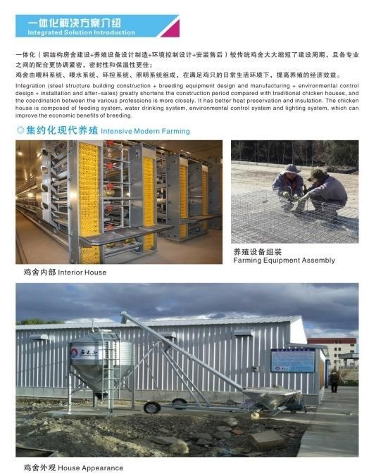 Steel Structure Chicken House with Equipment