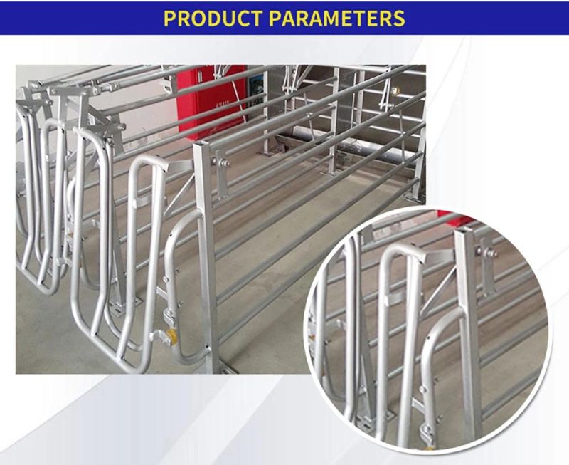 Pig Farming Equipment Gestation Crates/Gestation Pen/Hot Dipped Galvanized Sows Gestation Stalls