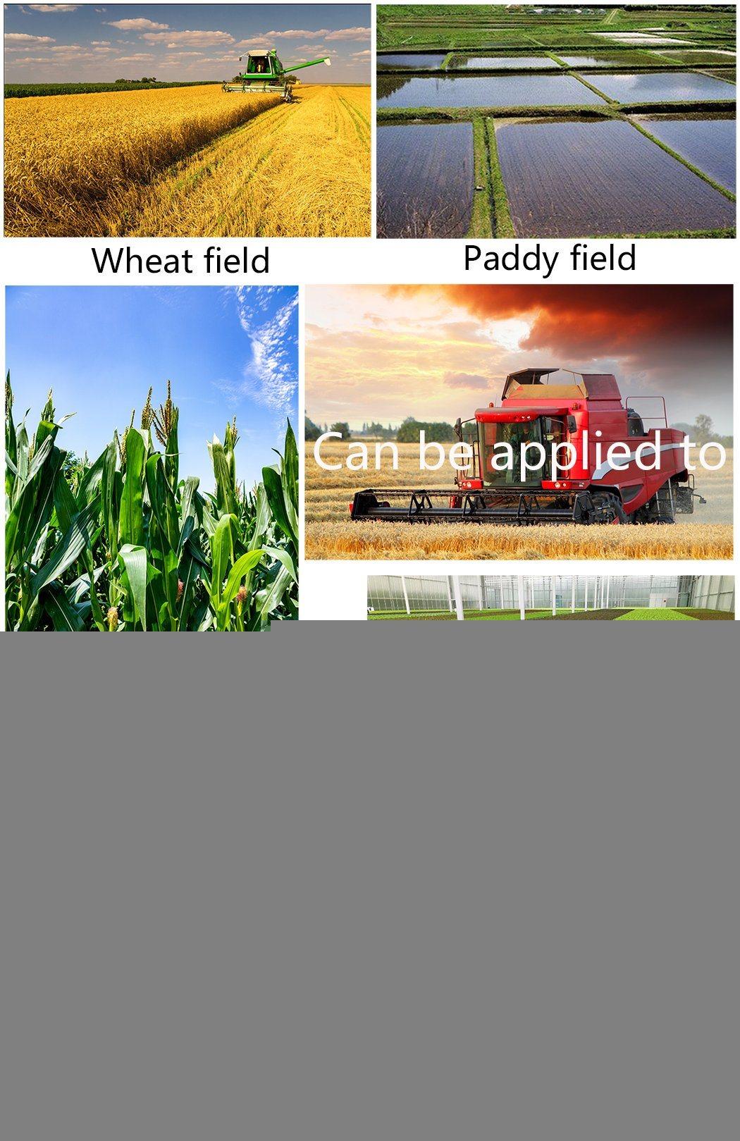 80HP Compact Farming Agricultural Small Tractors 4X4 4WD Farm Tractor