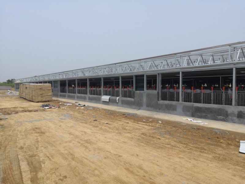 Galvanized Fattening Pig Fence Equipment for Pig Farm