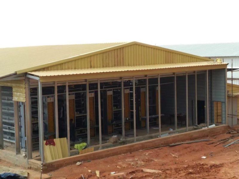 Steel Stucture Chicken House