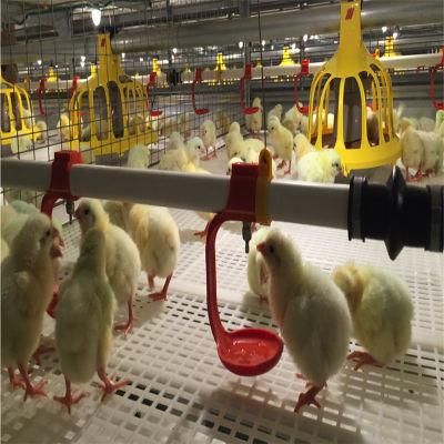Prefab High Quality Technical Easily Manage Galvanized Chicken Shed