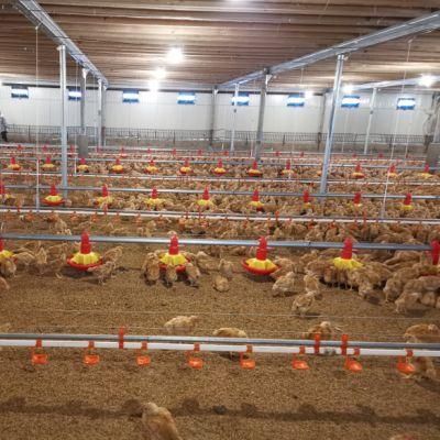 Steel Structure Automated Chicken Farm Climate Control Poultry House Building