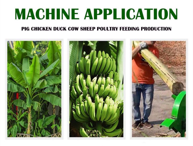 Fodder Chopper Chaff Cutter Electric Motor Silage Chopping Banana Tree Cutting Machine Agricultural Machinery