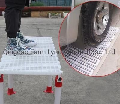 Direct Selling Animal Husbandry Equipment Plastic Slatted Dung Leakage Floor