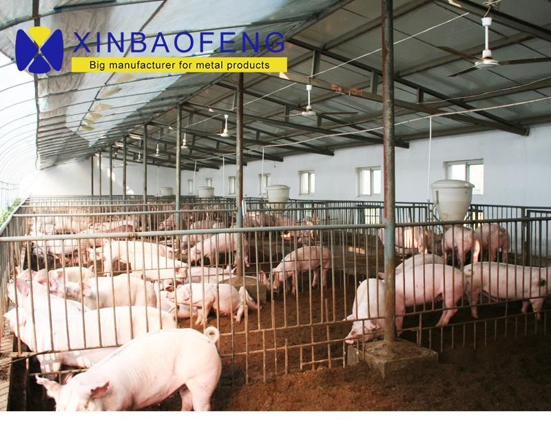 Hot DIP Baby Pig Sow Born Farm Breeding Pig Farrowing Stall